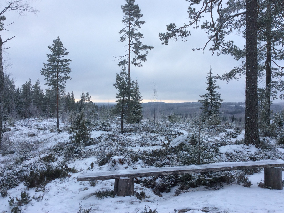 Sinivuori Hiking trail-Kangasniemi必去景点