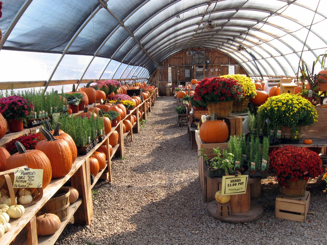 Frog Pond Farms-Bainbridge必去景点