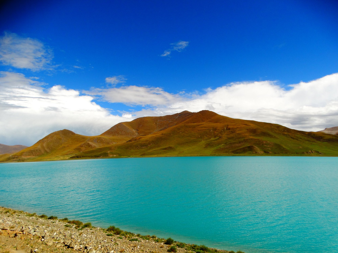 羊卓雍措湖景点图片