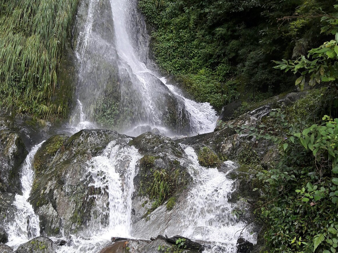 River View Homestay at Barot  Himachal Pradesh主图