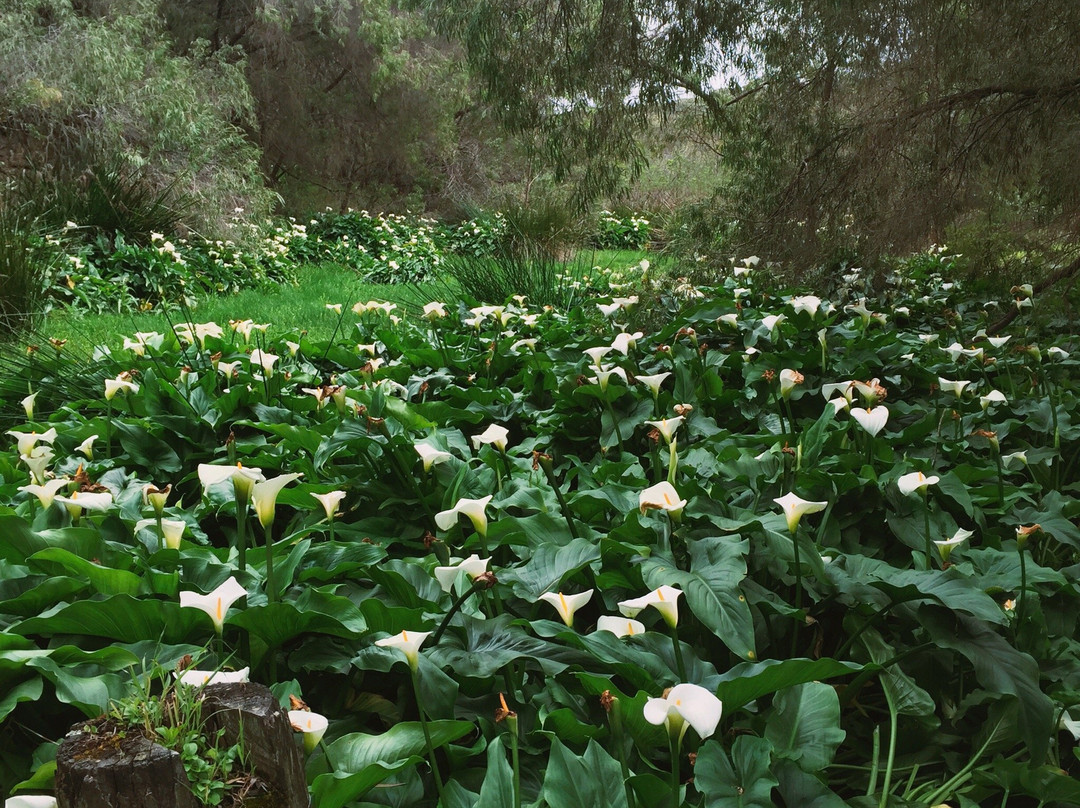 Margaret River Nature Tours-玛格丽特河必去景点