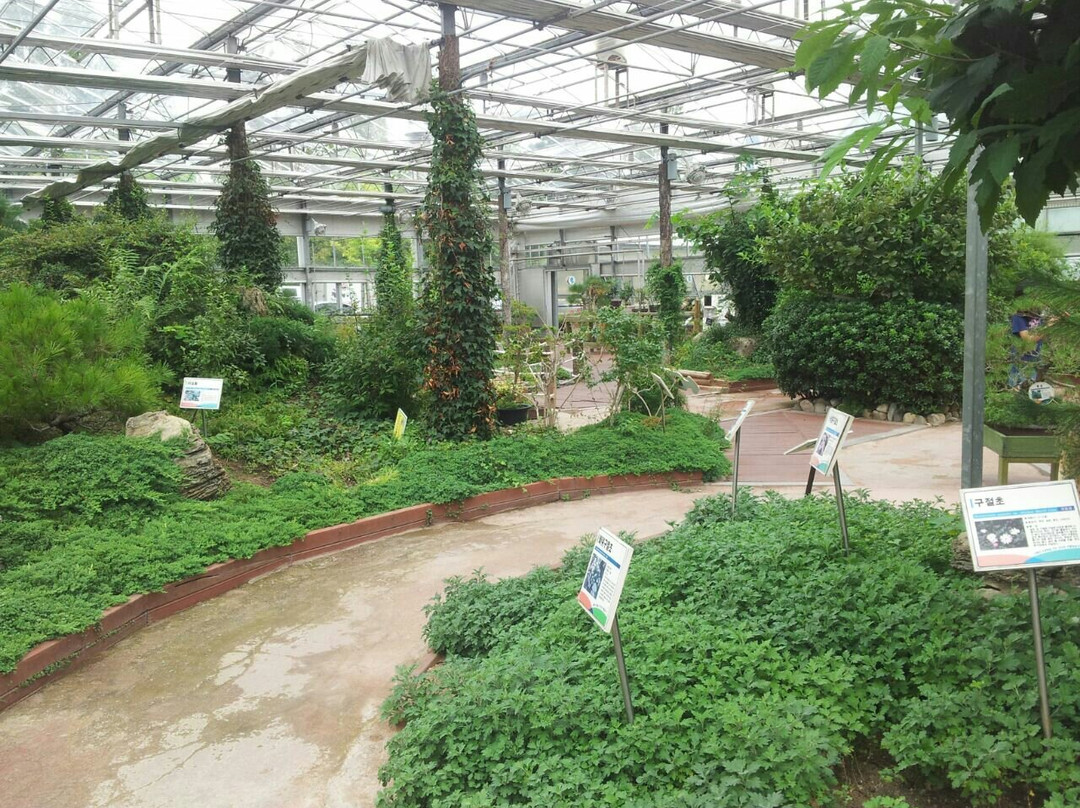 Ansan Botanical Garden-安山市必去景点