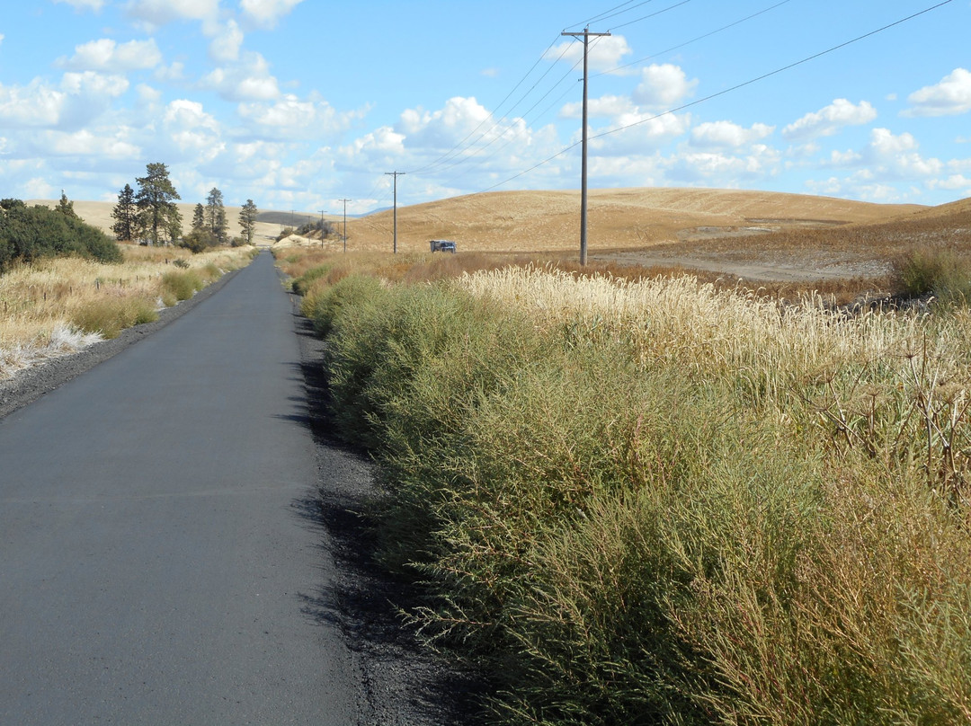 Bill Chipman Palouse Trail景点图片
