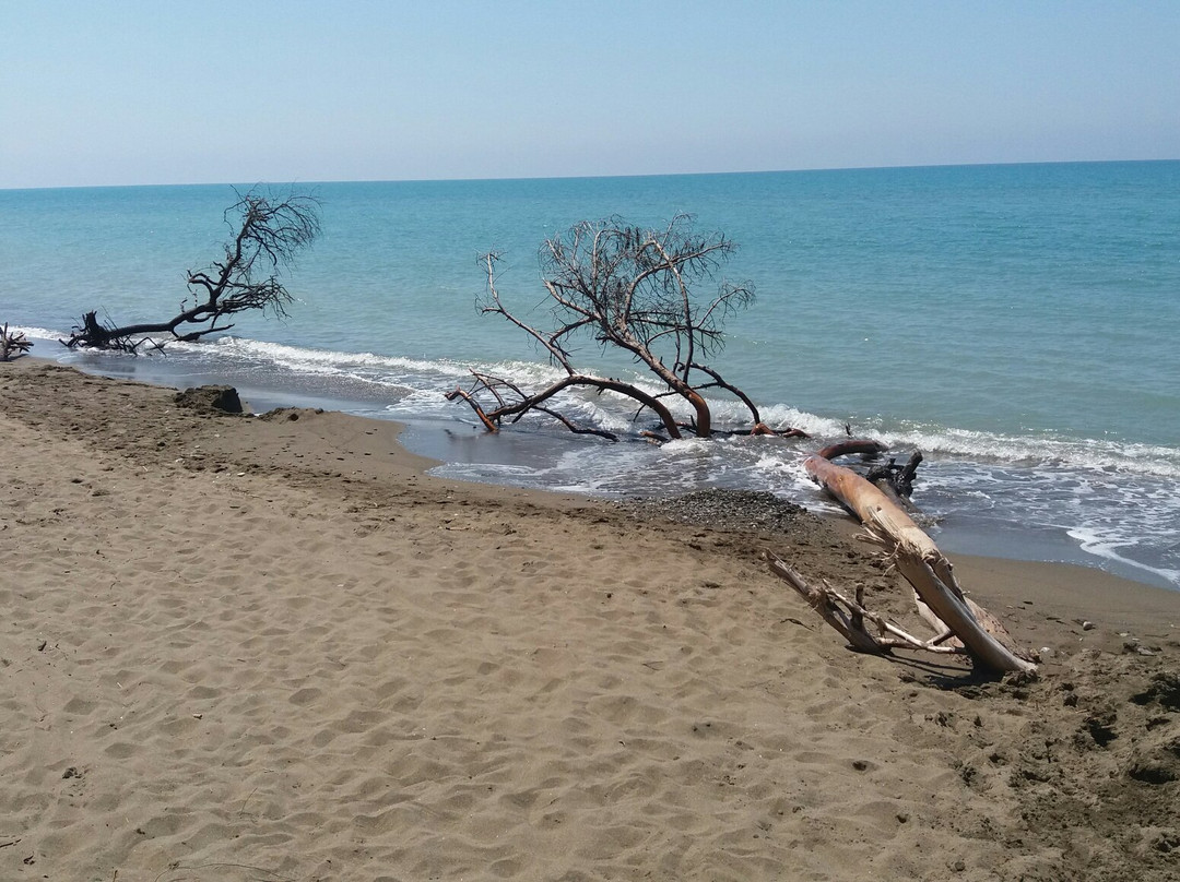 Marina di Cecina旅游攻略图片