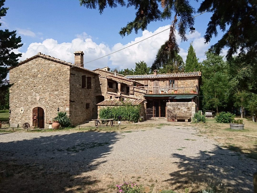 Podere Il Cocco