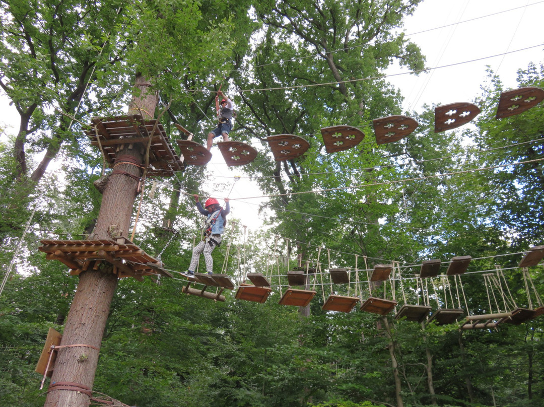 Kletterwald Neroberg-威斯巴登必去景点