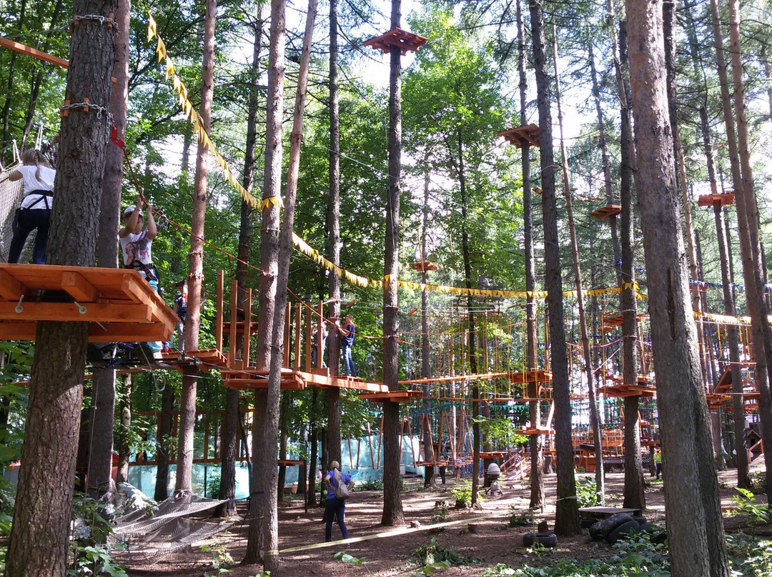 Gammy Adventure Rope Park景点图片