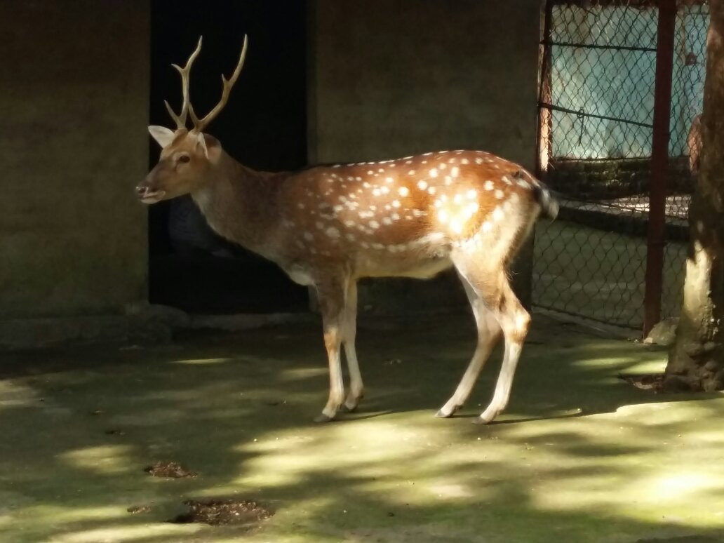 Nui Coc Lake-Thai Nguyen必去景点