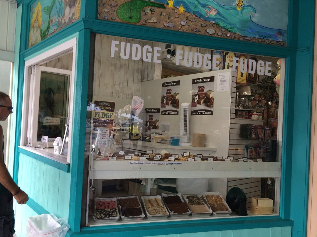 Sea Shell Shop-里霍博斯比奇必去景点