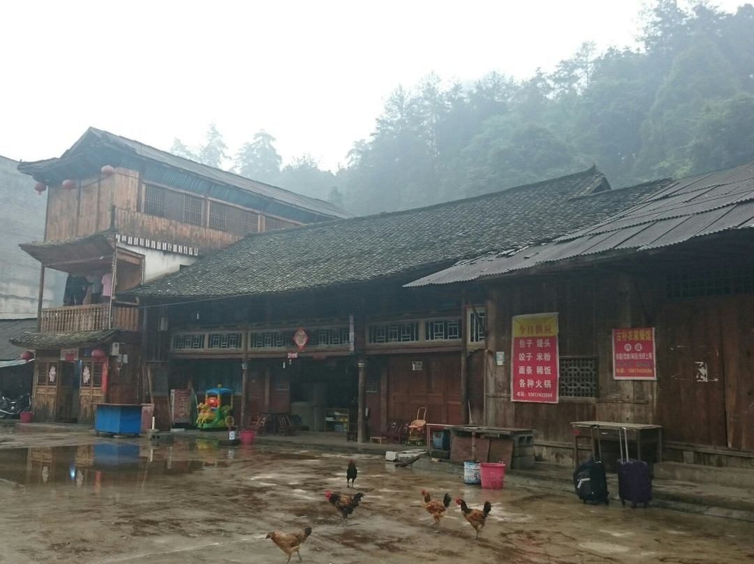 小溪保护区景点图片
