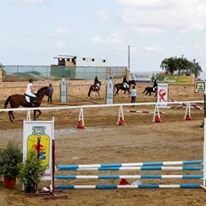 Ippikos Athlitikos Omilos Chanion-Horse Riding Club of Chania景点图片