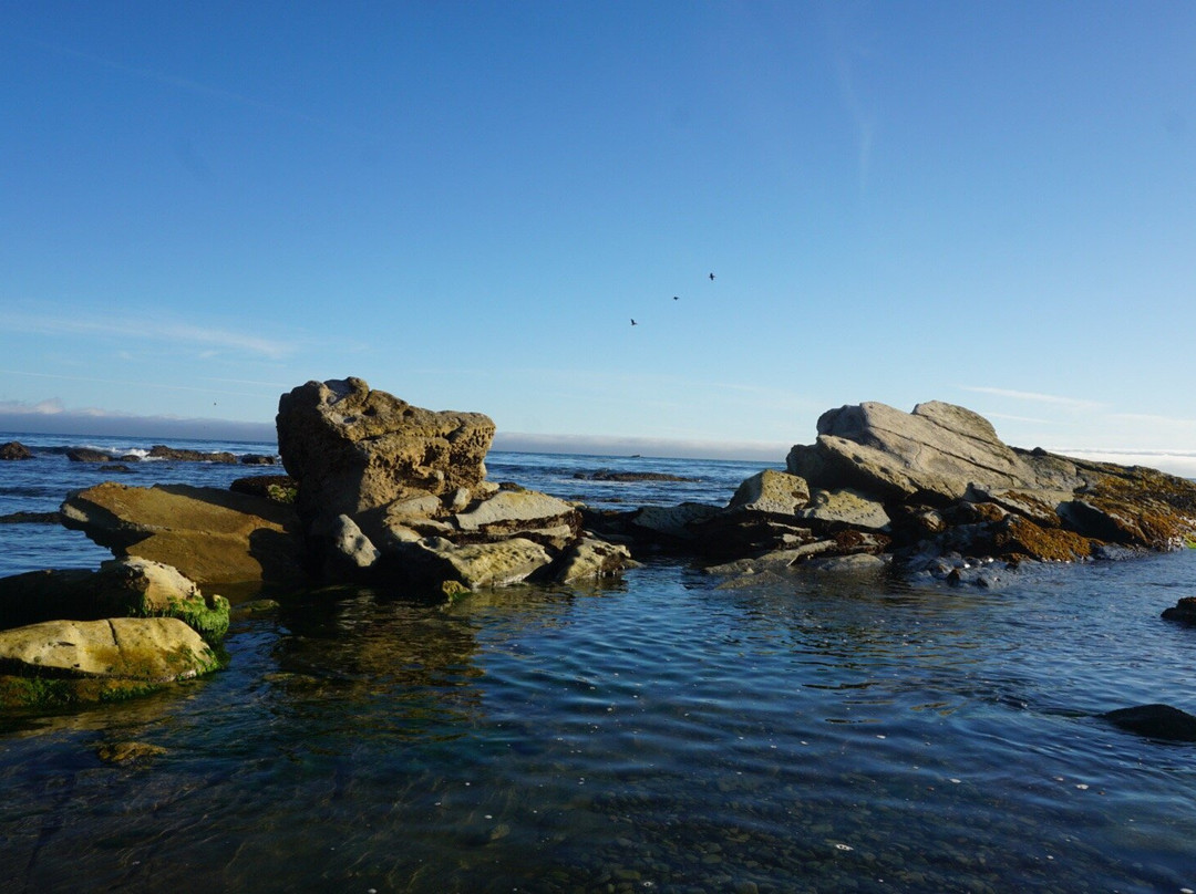 Eldwaylen Ocean Park景点图片