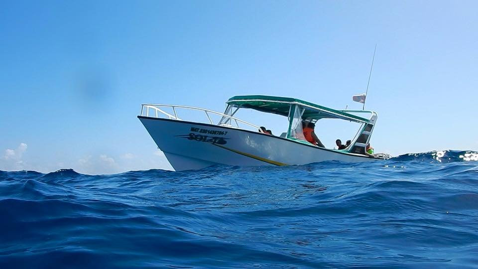 Holbox Whale Shark Tours-Holbox Island必去景点