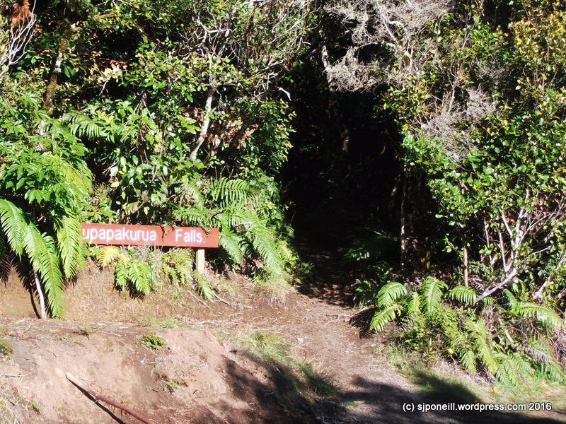 Tupapakurua Falls Lookout-National Park Village必去景点