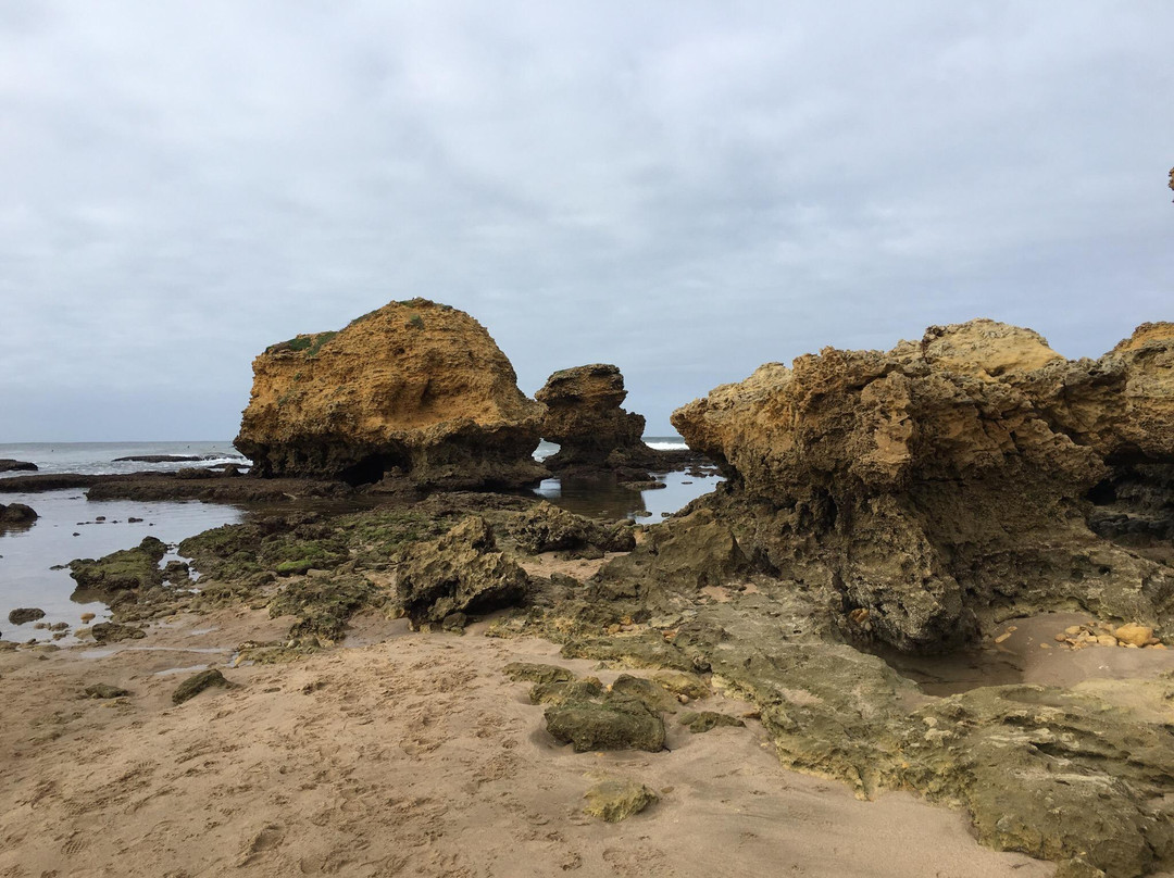 Fisherman's Beach-托基必去景点