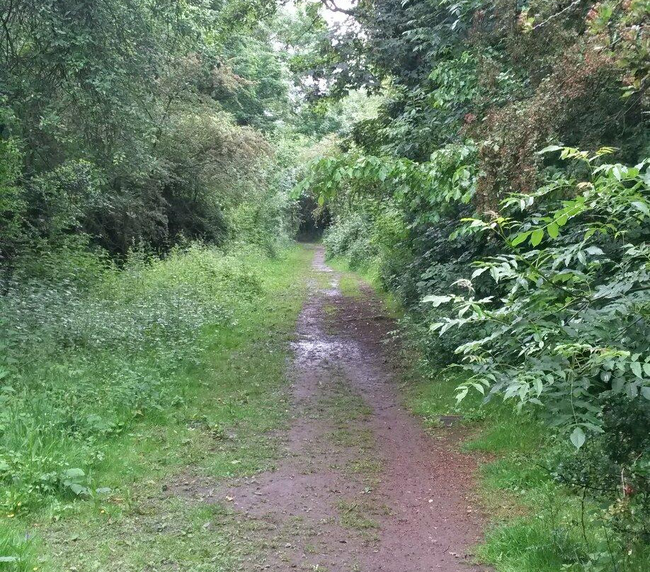 Finedon Pocket Park景点图片