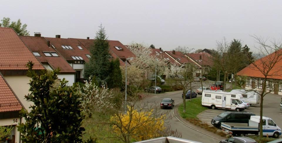 Hotel-Restaurant Alte Kelter主图