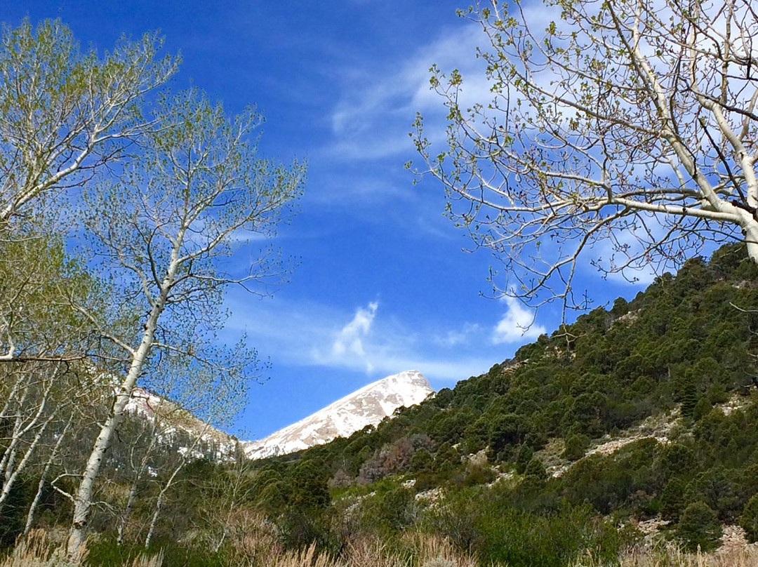 Baker Lake Trail-Great Basin National Park必去景点