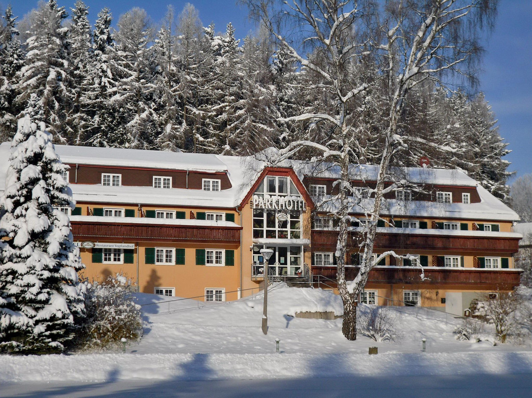 Parkhotel Bad Brambach主图