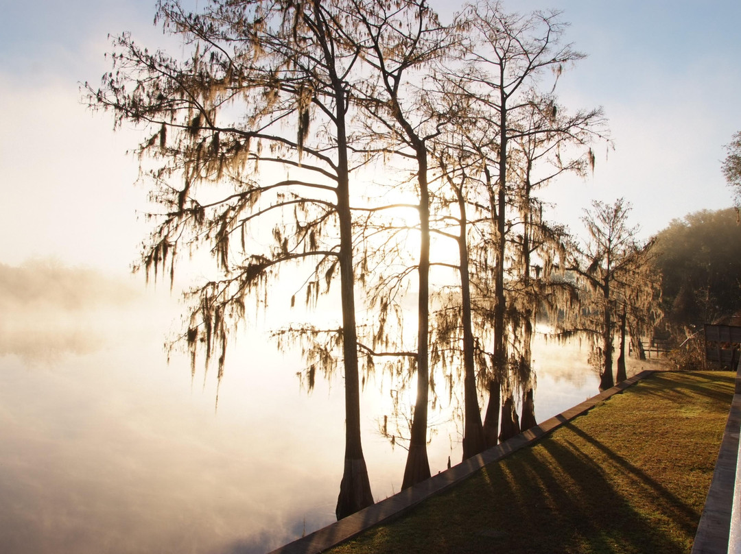 Suwannee Gables主图