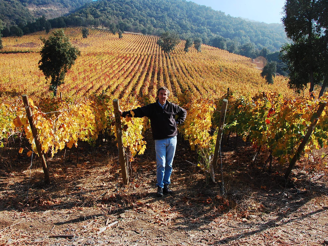 Vina Las Pitras-Curico必去景点