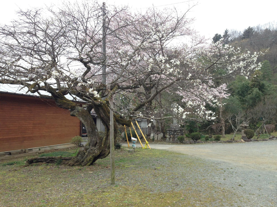 Tokoji Temple-日之出町必去景点