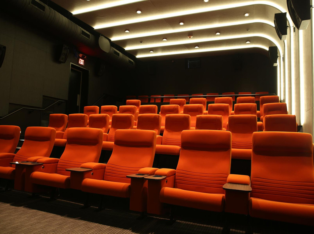 Jacob Burns Film Center景点图片