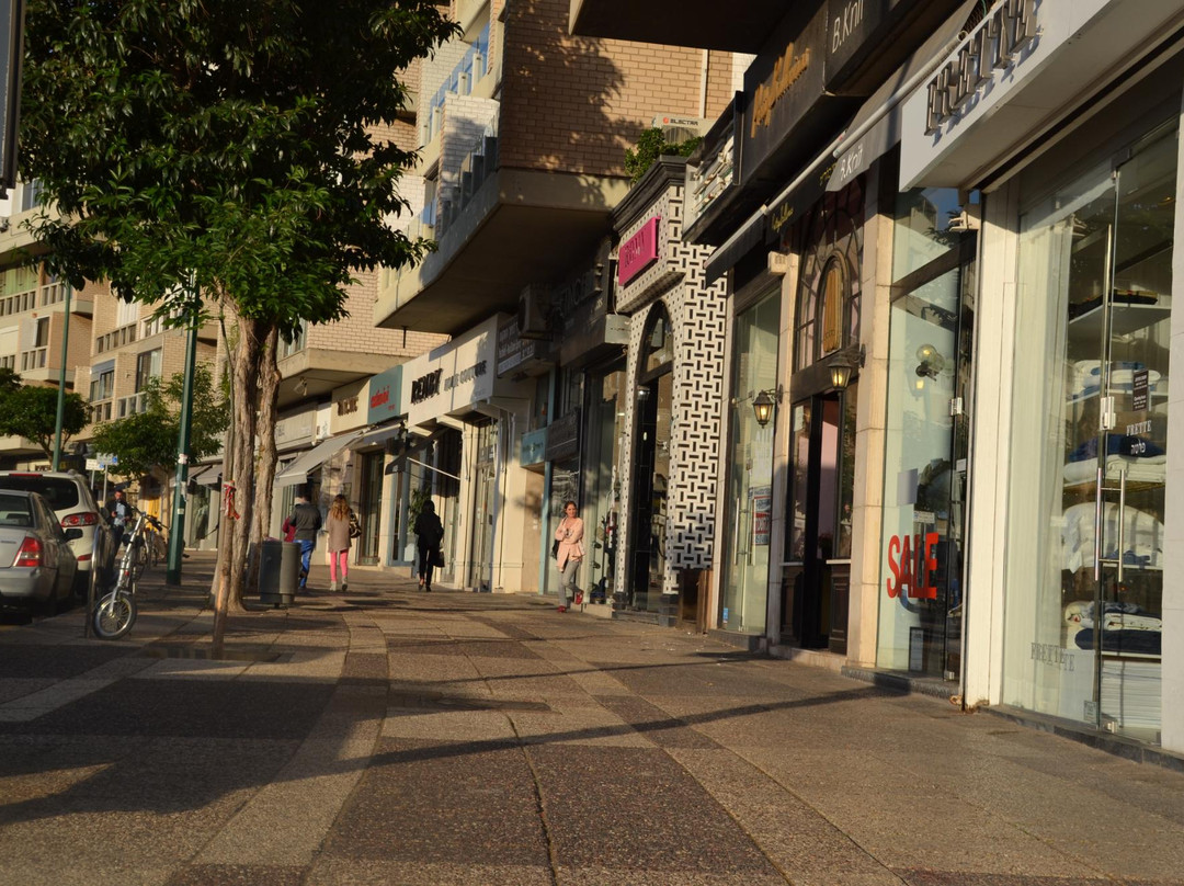 Kikar Hamedina-特拉维夫必去景点