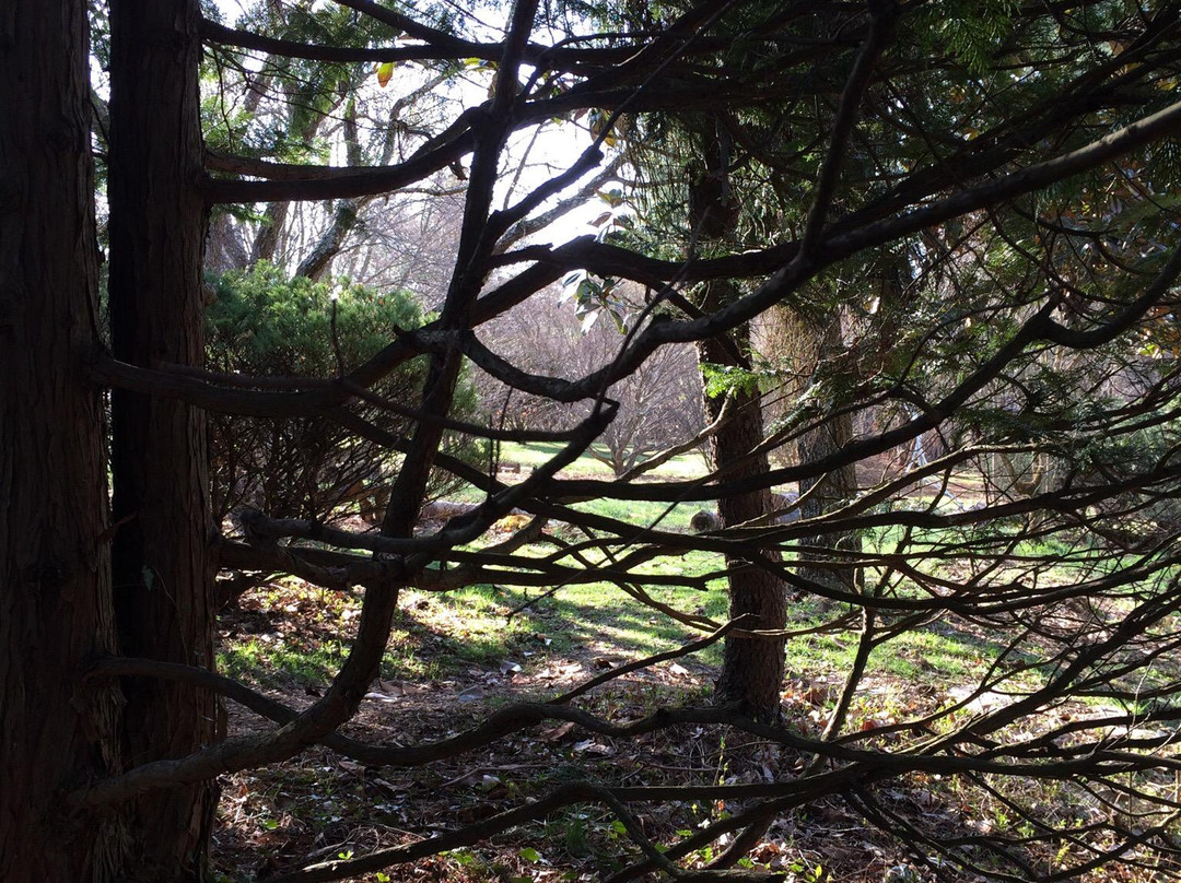 Boxerwood Nature Center & Woodland Garden-列克星敦必去景点