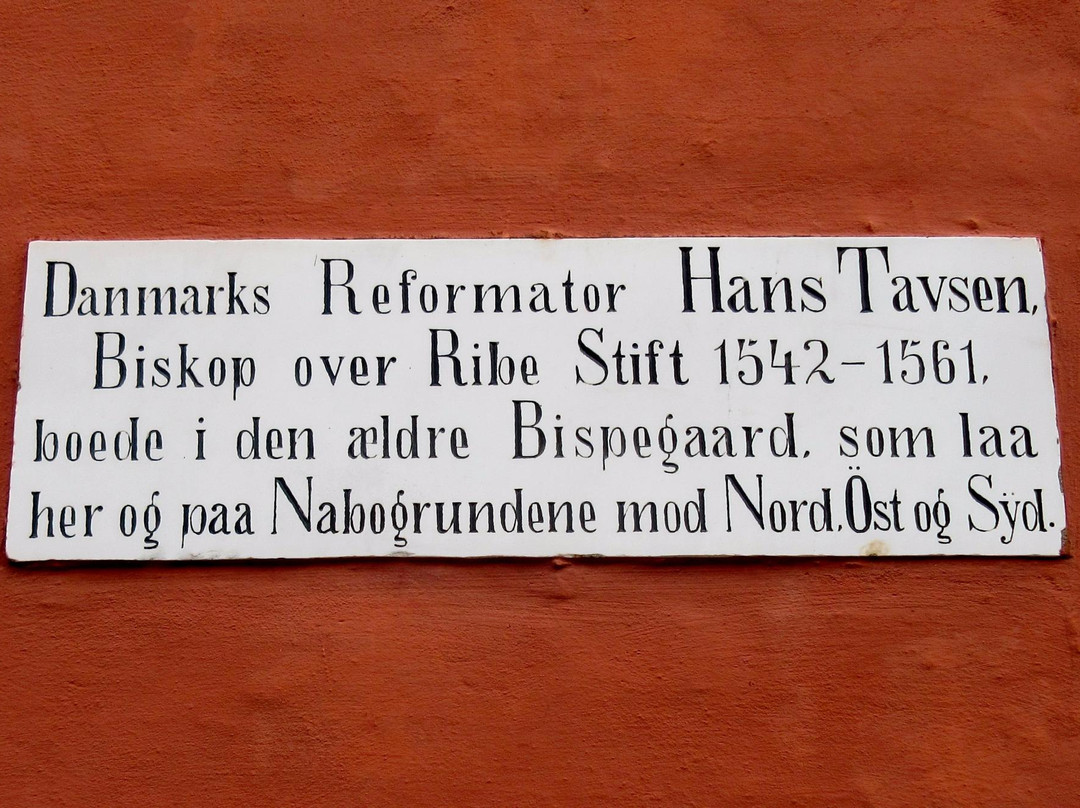 Hans Tavsens Hus景点图片