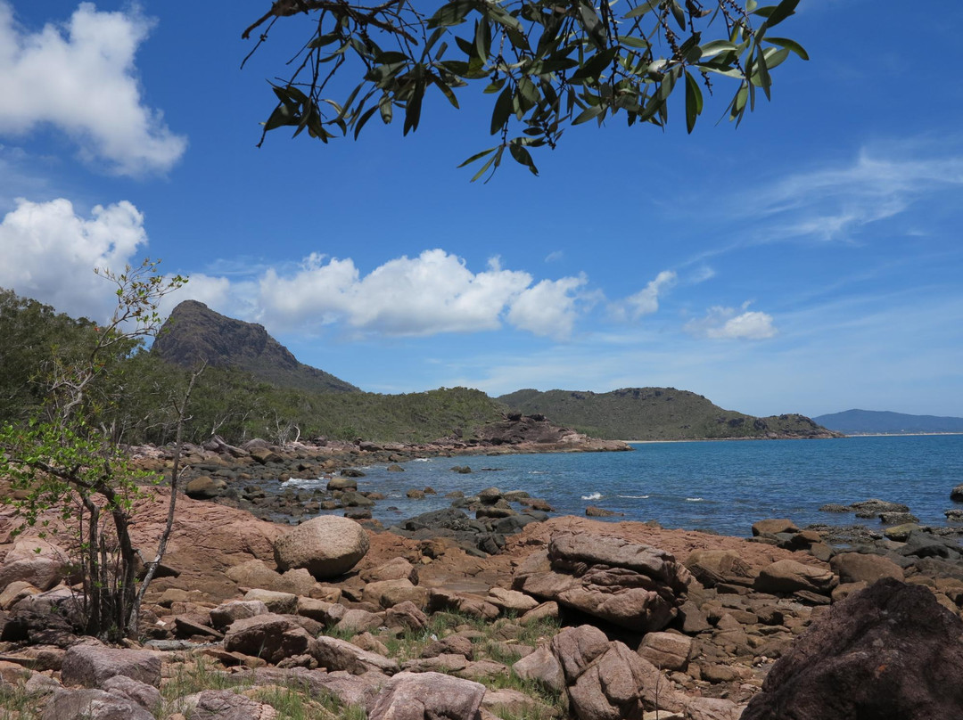 Absolute North Charters-Hinchinbrook Island必去景点
