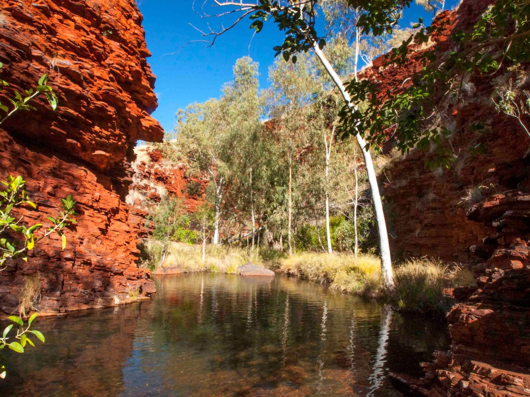Weano Gorge (Handrail Pool)