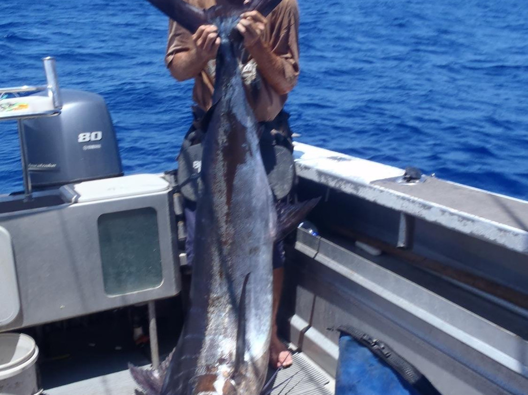 Harbour Fishing Charters-维拉港必去景点
