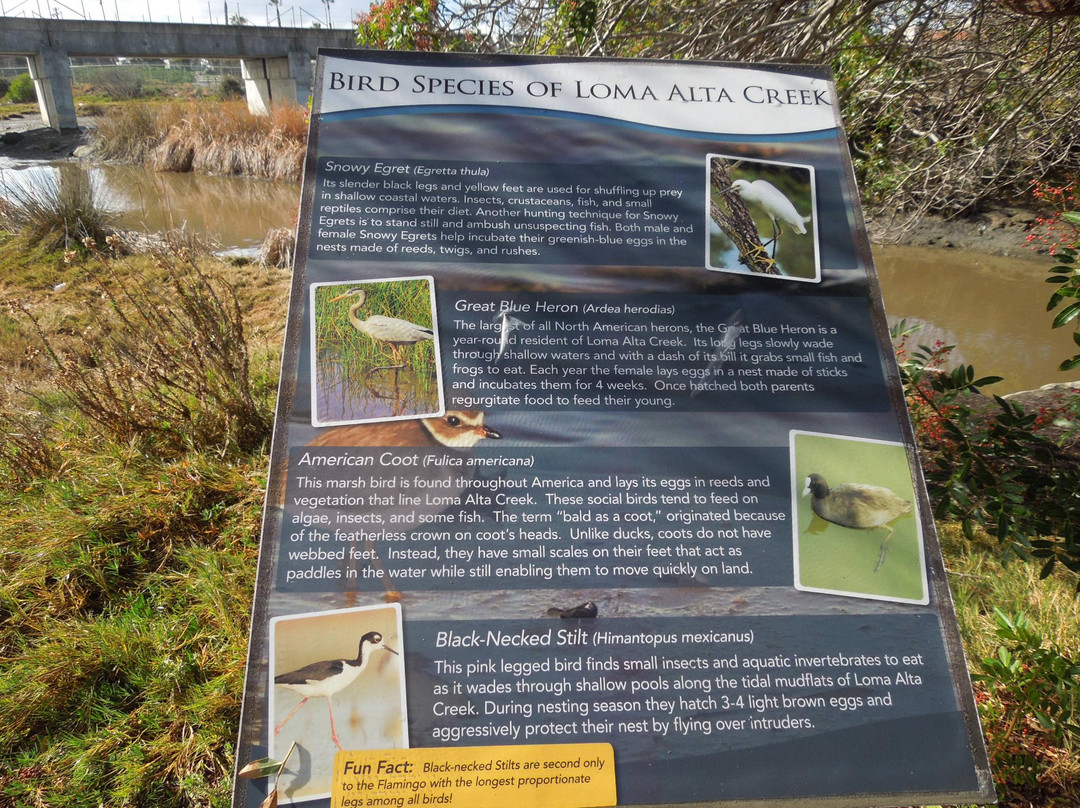 Oceanside Municipal Marina-欧申赛德必去景点