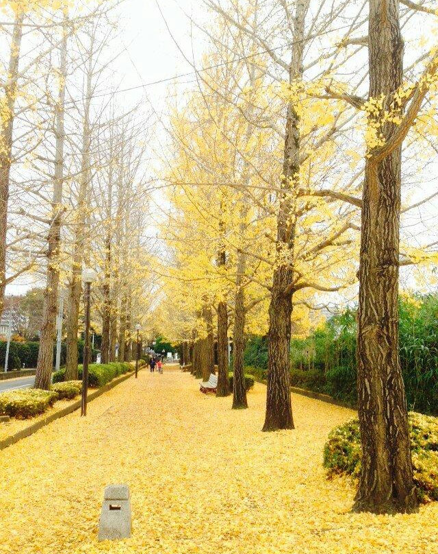 Utsunomiya Station East Park-宇都宫市必去景点