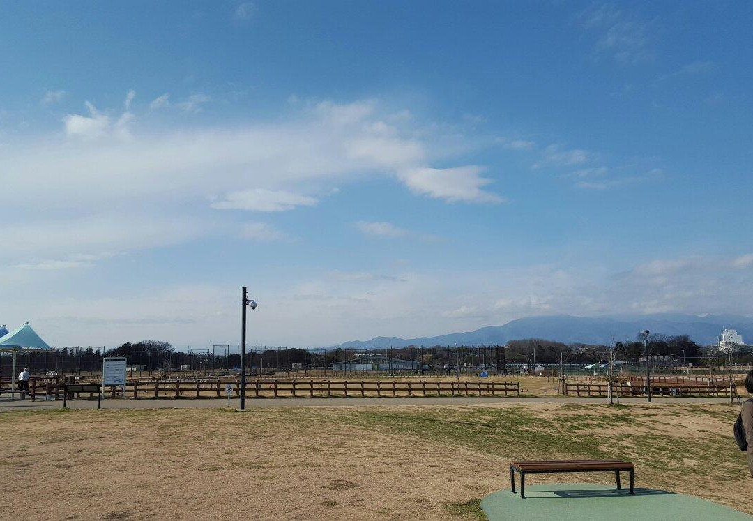 Yamato Yutori no Mori景点图片