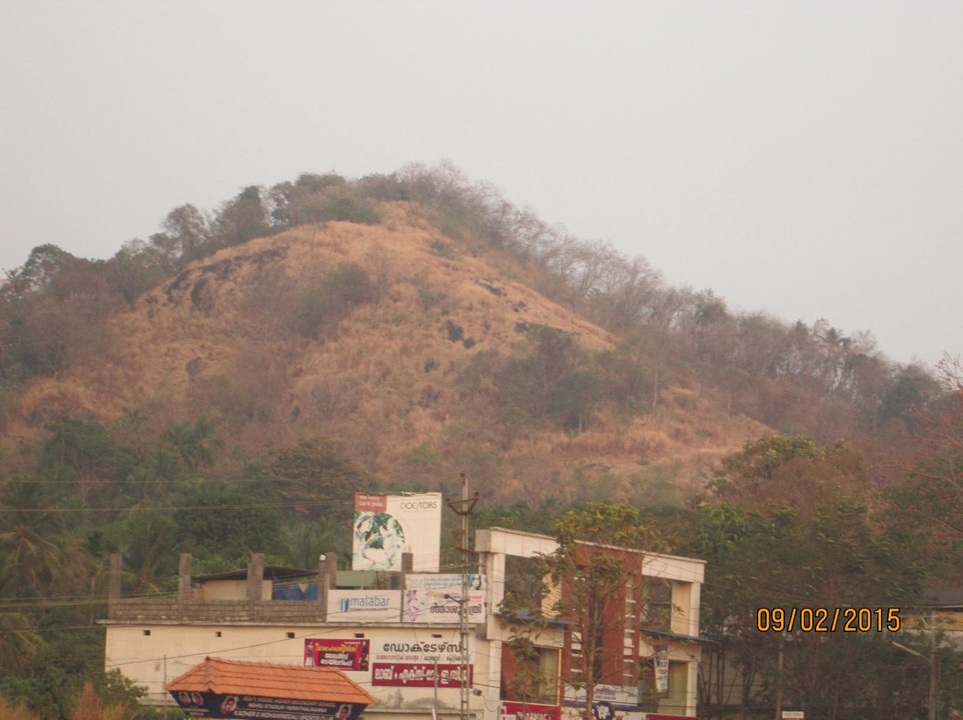 Attapadi Reserve Forest-Palakkad必去景点