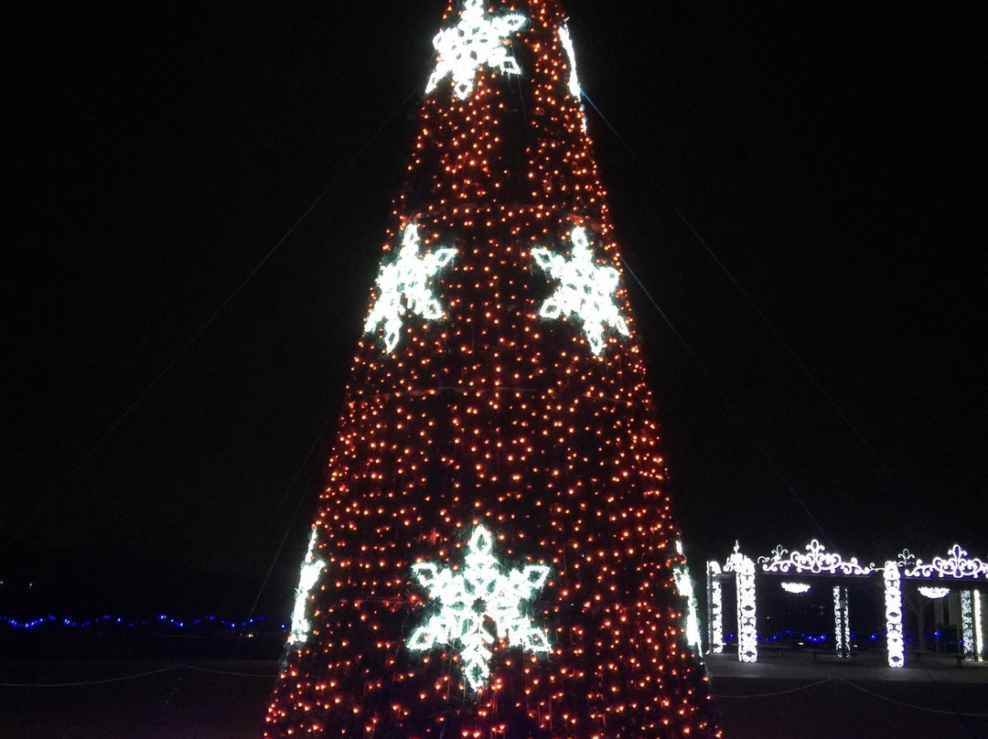 Ota Illumination-太田市必去景点