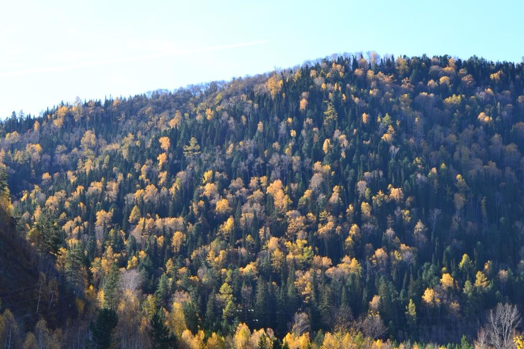 National Park Shushenskiy Bor-Shushenskoye必去景点