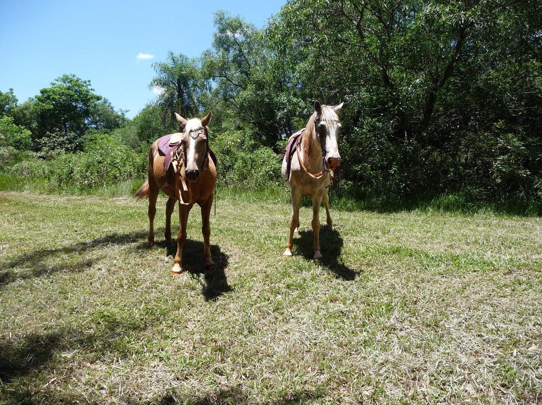 Estancia Santa Ines主图