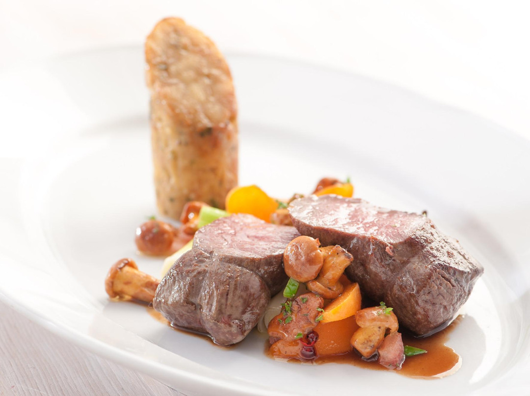 黑尔茨兰德酒店主图