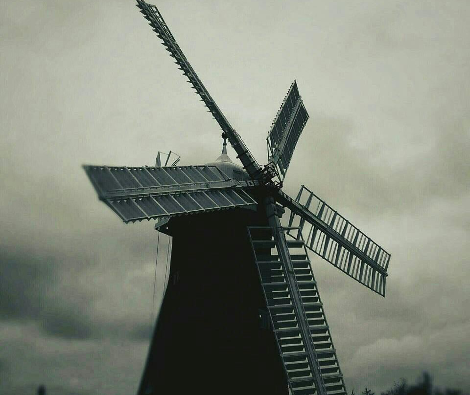 Holgate Windmill景点图片