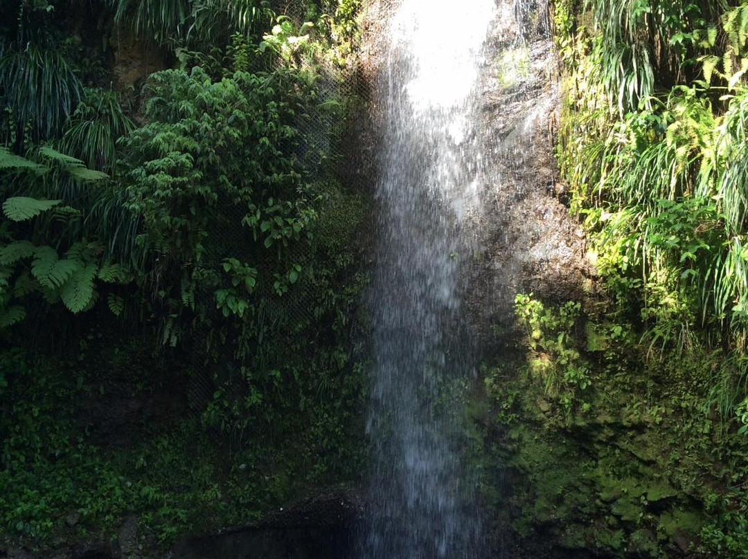Croisières Catamaran Caraïbes - Day Tours-Sainte-Anne必去景点