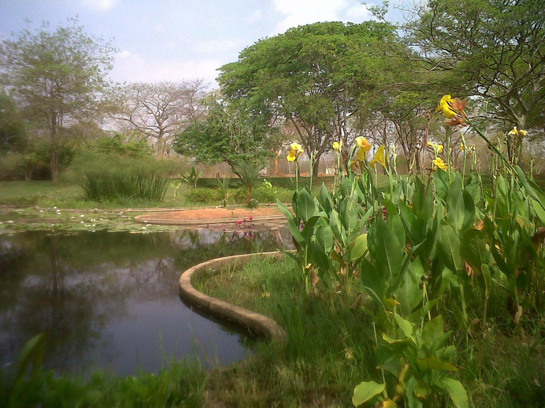Jardin Botanico de Maracaibo景点图片