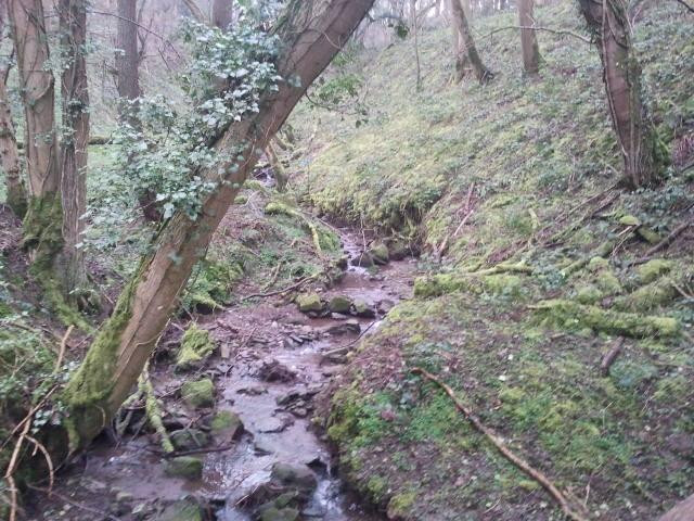 Offa's Dyke Path景点图片