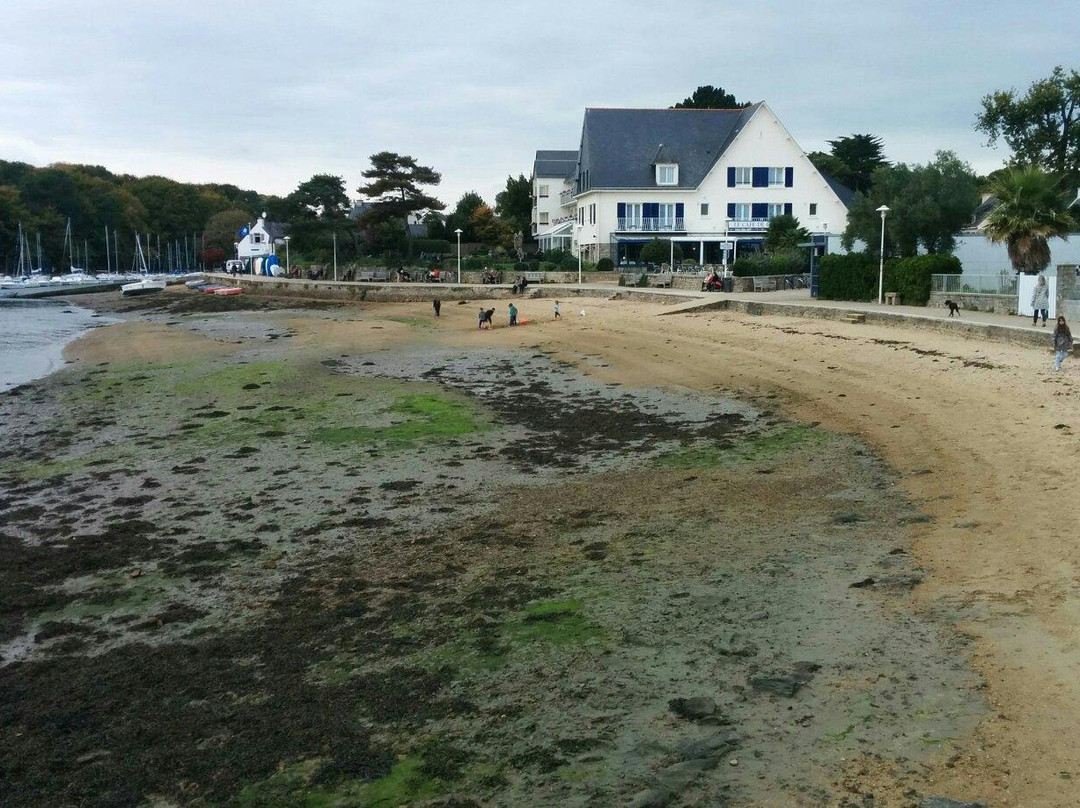 Plage de Conleau-瓦讷必去景点