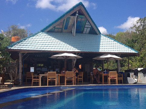 The Fins Nerni主图