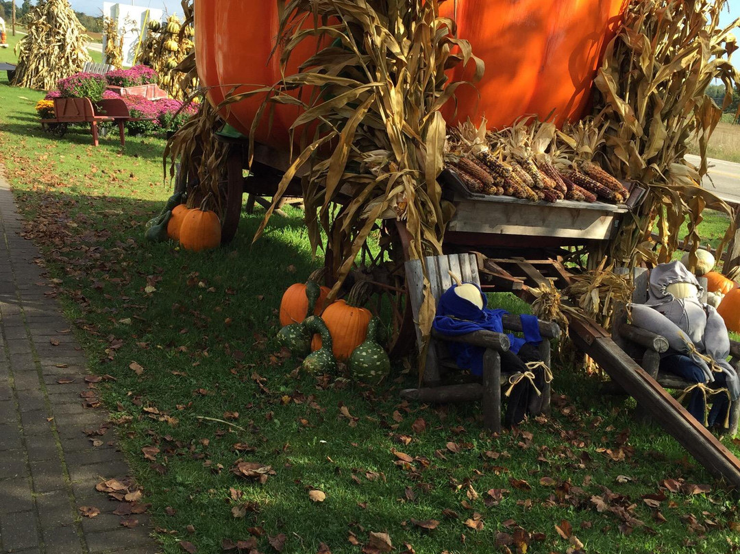 Koepsel's Farm Market-Baileys Harbor必去景点