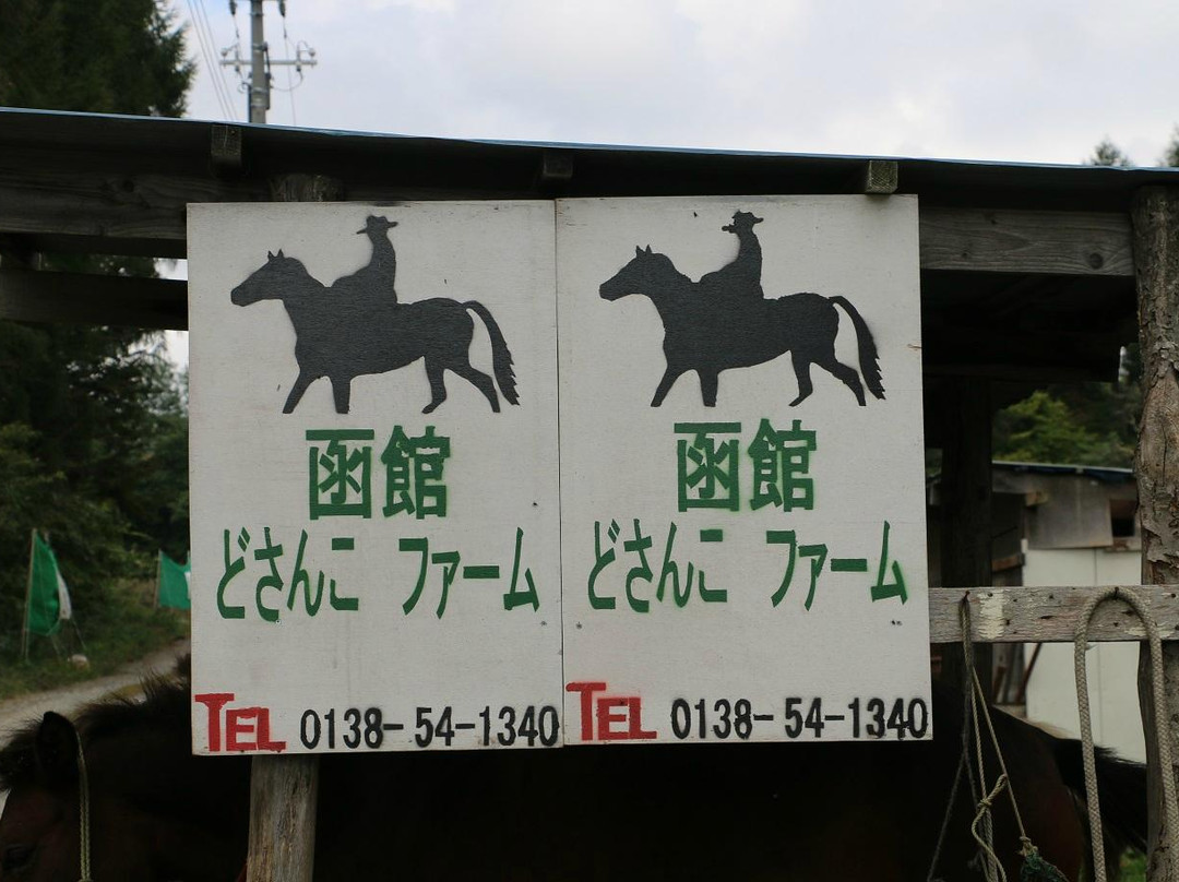 Dosanko Farm Hakodate-函馆市必去景点
