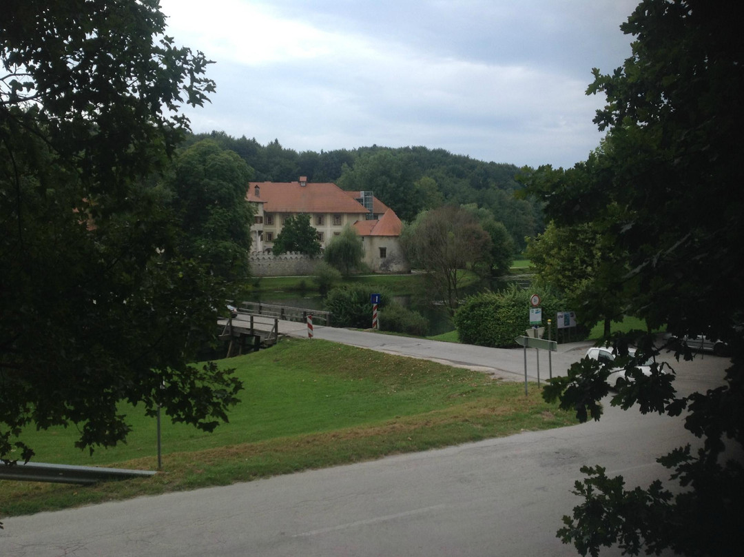 Grajski Park Otocec景点图片